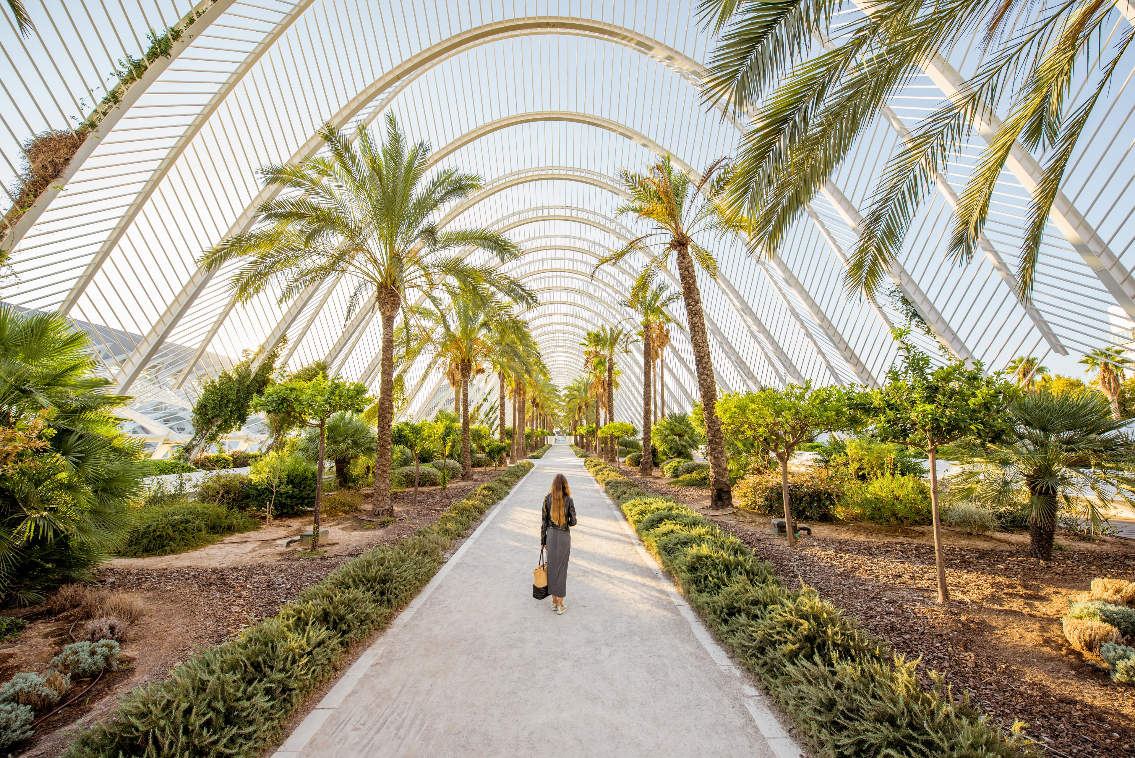 Foto: Parque de Valencia